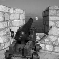 На страже. :: Борис Бутцев