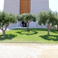 Оливковые деревья у статуи Христа :: Ольга 