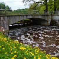 Река Славянка :: Nataly St. 