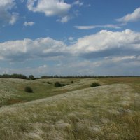 Местная красота. :: Виктор 