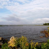 Финский залив. :: VasiLina * Финский залив. :: VasiLina *