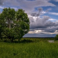 Первый летний день 3 :: Андрей Дворников