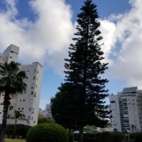 " :: Светлана Хращевская " :: Светлана Хращевская