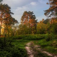 *** :: Сергей Григорьев