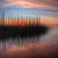 *** :: Сергей Григорьев