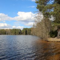 Комарово. Озеро Щучье :: Наталья Герасимова Комарово. Озеро Щучье :: Наталья Герасимова