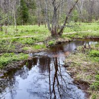 Река Кибелек :: Алексей Р.
