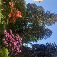 Лето :: Сапсан 