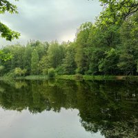 Сегодня облачно :: Андрей Лукьянов