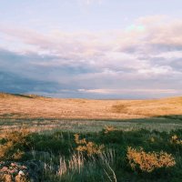 Солнечная степь :: Георгиевич 