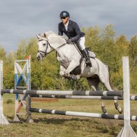 Конкур :: SanSan 