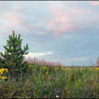 Как в детстве :: **** vedin