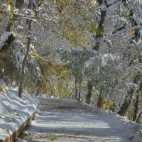 Утром холодным.... :: Юрий Цыплятников Утром холодным.... :: Юрий Цыплятников