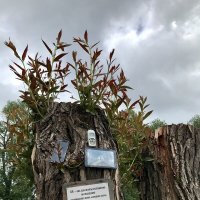 Рекламный столб :: Любовь 