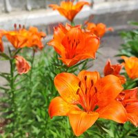 ,,, :: Сергей Тимоновский