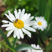 ,,, :: Сергей Тимоновский ,,, :: Сергей Тимоновский