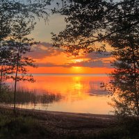 *** :: Сергей Григорьев