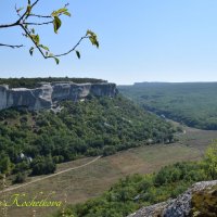 Природа Крыма :: Amazing Cosmea