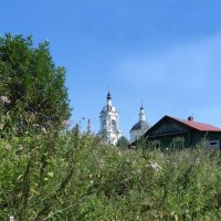 Подмосковье :: Oleg4618 Шутченко