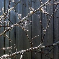 Зарисовка :: Александр 