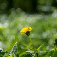 ___ :: Yuriy V ___ :: Yuriy V