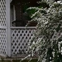 *** :: Валентина Береснева *** :: Валентина Береснева