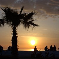 At the sunset :: Валерий 