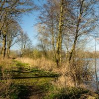 *** :: Николай Гирш *** :: Николай Гирш