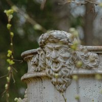 Павловск :: Лана Пипякина