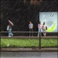 Ливень :: Александр Тарноградский