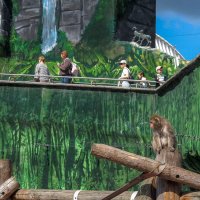 Зоопарк :: юрий поляков