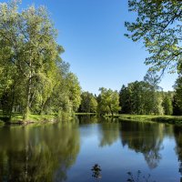 Майский день в Павловском парке :: Борис Генкин