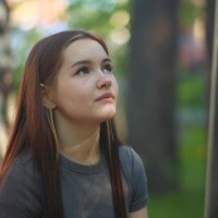 Шум ветра в соснах :: Владилен Панченко