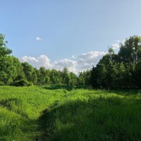 Разъиюнилось :: Андрей Лукьянов