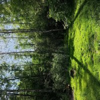 Разъиюнилось :: Андрей Лукьянов Разъиюнилось :: Андрей Лукьянов