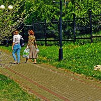 Июль...Покормили в парке песика! :: Владимир 