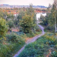 Тропинка к карьерному озеру  ) :: Елена Хайдукова  ( Elena Fly )