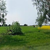 Далеко ли от Таллина ... :: Veera V