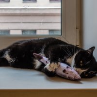 Рыбачка :: Игорь Викторов