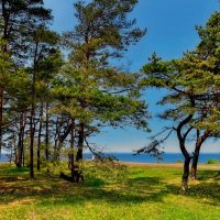 Saaremaa 010625 3m :: Arturs Ancans