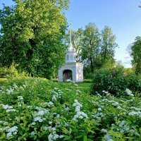 Свежая зелень начала лета. :: Лия ☼