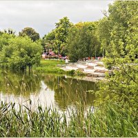 На Летнем озере. :: Валерия Комова