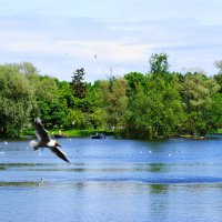 Парк Победы :: Виктор Никитенко