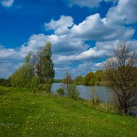 Май на озере :: Александр Синдерёв