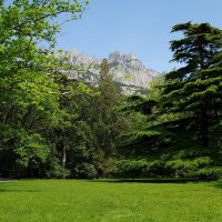 Воронцовский парк :: Валерий Ткаченко