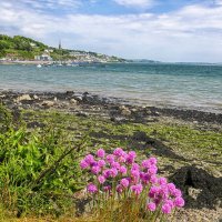 Гуляя по Ирландии :: Elena Ророva Гуляя по Ирландии :: Elena Ророva