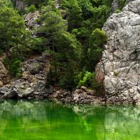 Скалистые берега :: Юрий. Шмаков