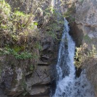 Медовые водопады :: Gen 