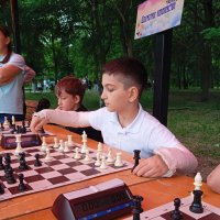 Даже падение с высокого забора не может уменьшить стремление к шахматам... :: Константин Штарк