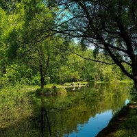 Лето на Путяевских прудах. :: Василий Ярославцев